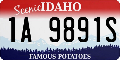 ID license plate 1A9891S