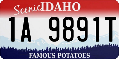 ID license plate 1A9891T