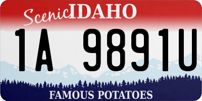 ID license plate 1A9891U