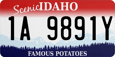ID license plate 1A9891Y
