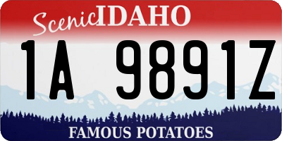 ID license plate 1A9891Z