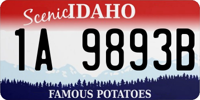 ID license plate 1A9893B