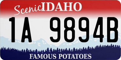 ID license plate 1A9894B