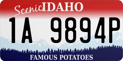 ID license plate 1A9894P