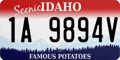 ID license plate 1A9894V
