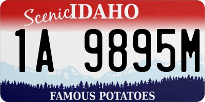 ID license plate 1A9895M