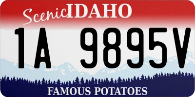 ID license plate 1A9895V