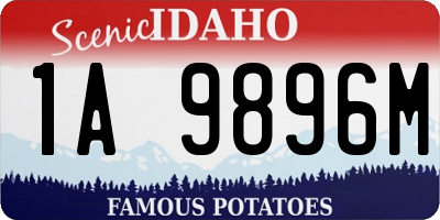 ID license plate 1A9896M