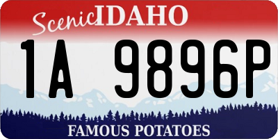 ID license plate 1A9896P
