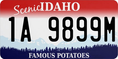 ID license plate 1A9899M