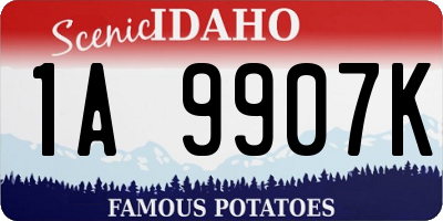 ID license plate 1A9907K