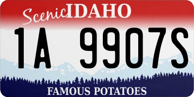ID license plate 1A9907S