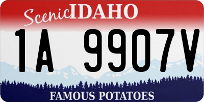 ID license plate 1A9907V