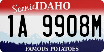 ID license plate 1A9908M