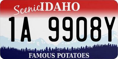 ID license plate 1A9908Y