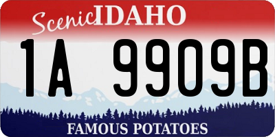 ID license plate 1A9909B