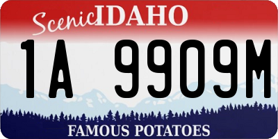 ID license plate 1A9909M