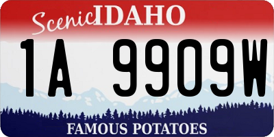 ID license plate 1A9909W