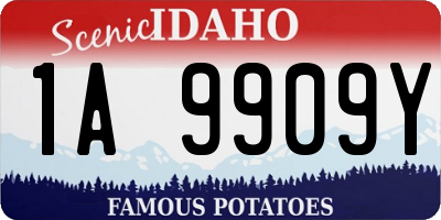 ID license plate 1A9909Y