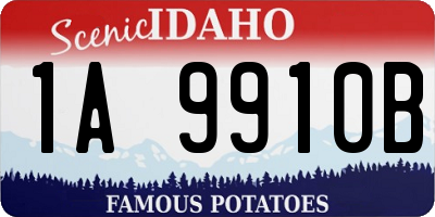ID license plate 1A9910B
