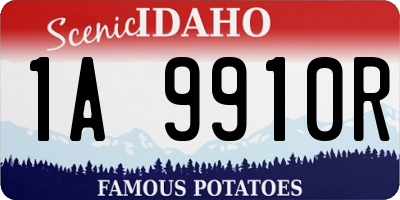 ID license plate 1A9910R