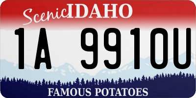 ID license plate 1A9910U