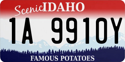 ID license plate 1A9910Y