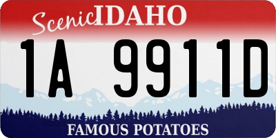 ID license plate 1A9911D