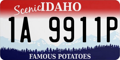ID license plate 1A9911P