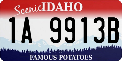 ID license plate 1A9913B