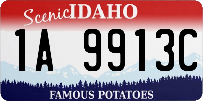 ID license plate 1A9913C