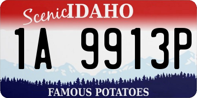 ID license plate 1A9913P