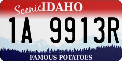 ID license plate 1A9913R