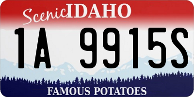 ID license plate 1A9915S
