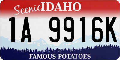 ID license plate 1A9916K