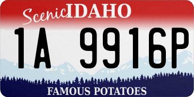 ID license plate 1A9916P