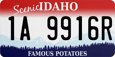 ID license plate 1A9916R