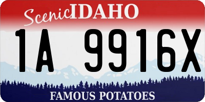 ID license plate 1A9916X