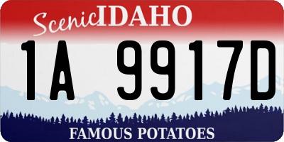 ID license plate 1A9917D