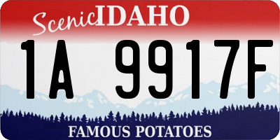 ID license plate 1A9917F