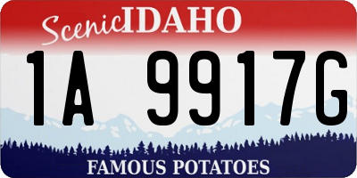 ID license plate 1A9917G