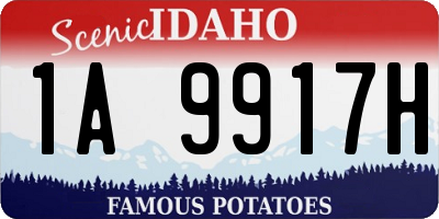 ID license plate 1A9917H