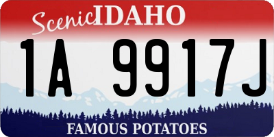 ID license plate 1A9917J