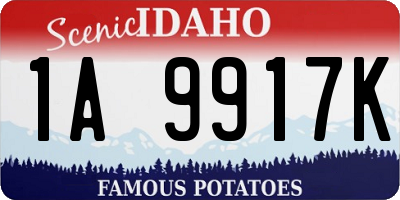 ID license plate 1A9917K