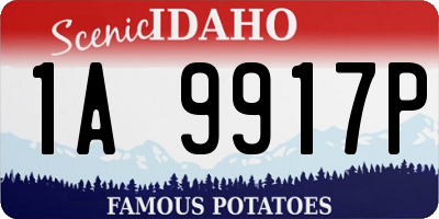ID license plate 1A9917P