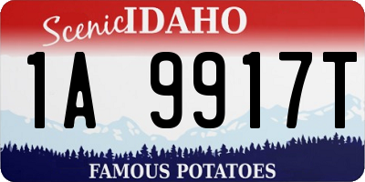 ID license plate 1A9917T
