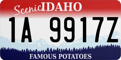ID license plate 1A9917Z