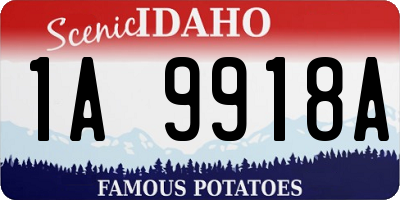 ID license plate 1A9918A