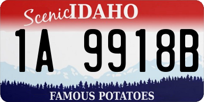 ID license plate 1A9918B
