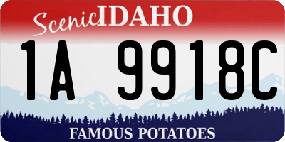 ID license plate 1A9918C